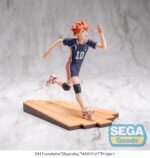 figura Shoyo Hinata Haikyuu